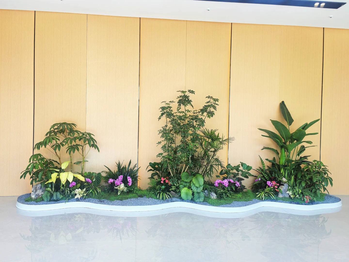 余姚专业植物租赁,装点多彩生活空间